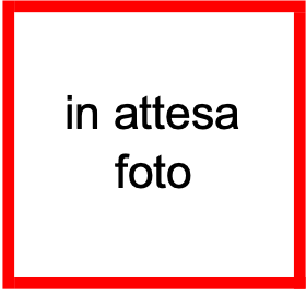 in attesa foto